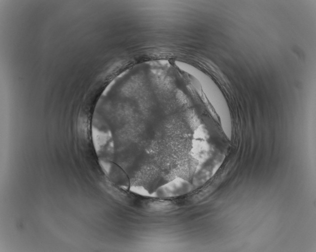 X0000111200669200908121111