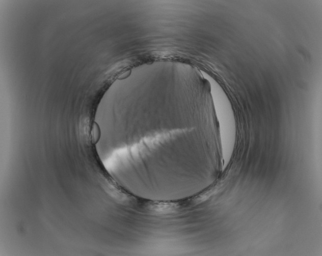 X0000111200670200908121111