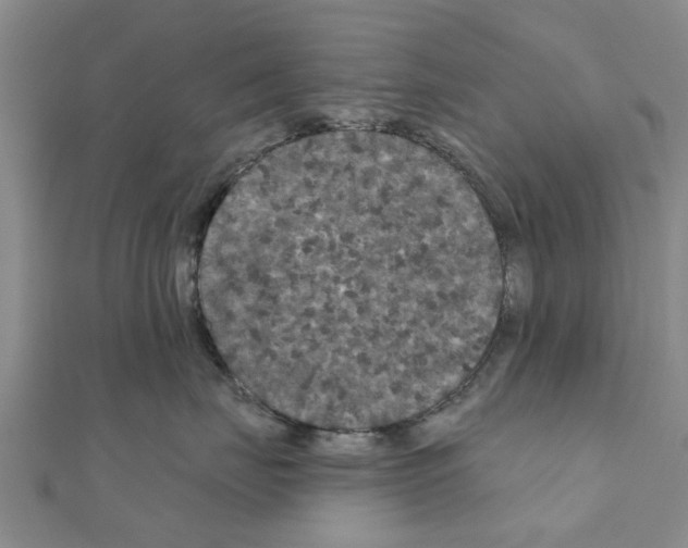 X0000111200671200908121111