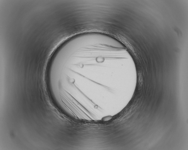 X0000111200676200908121110