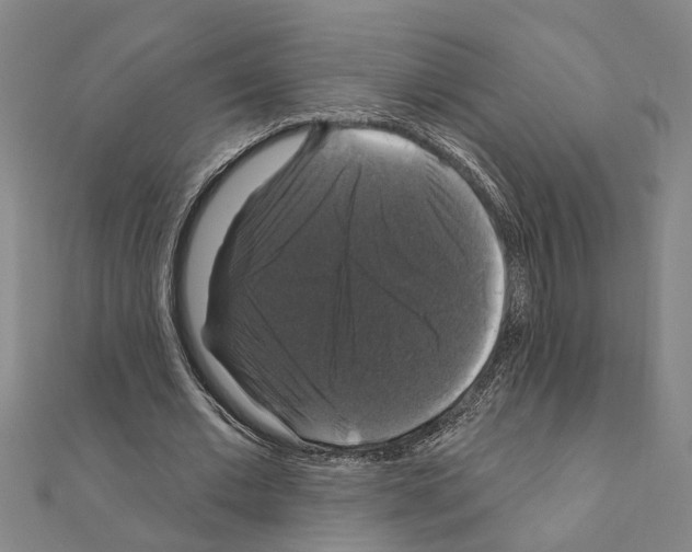 X0000111200677200908121110