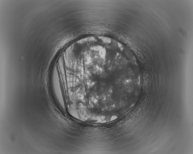 X0000111200679200908121110