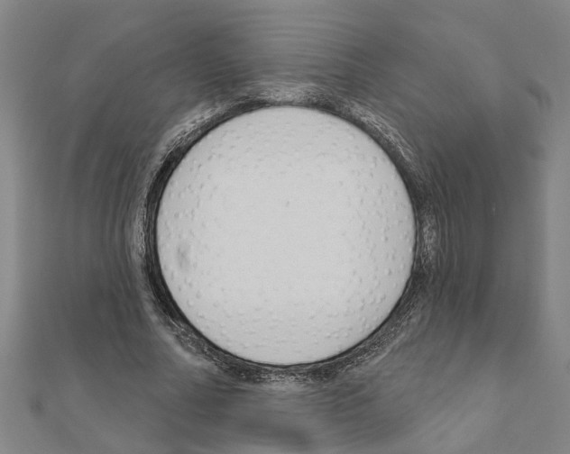 X0000111200682200908121110