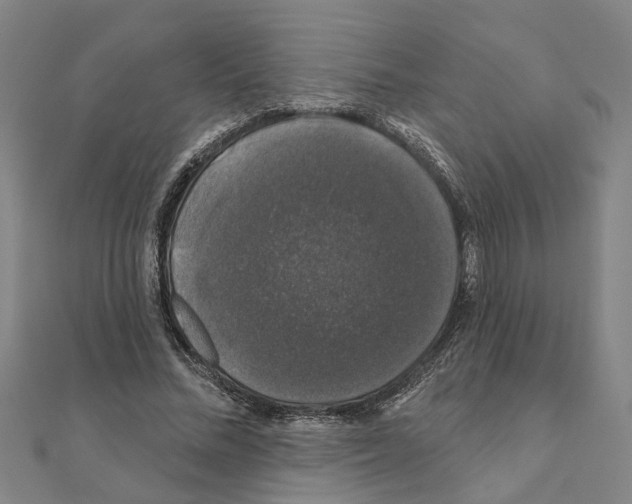 X0000111200684200908121110