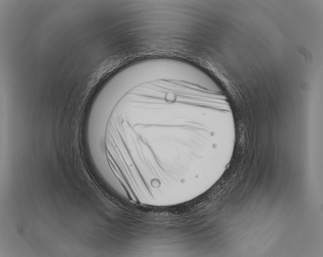 X0000111200685200908121110