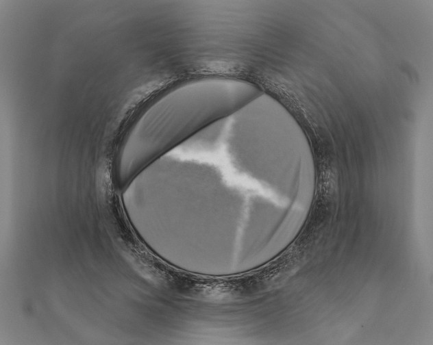 X0000111200688200908121110