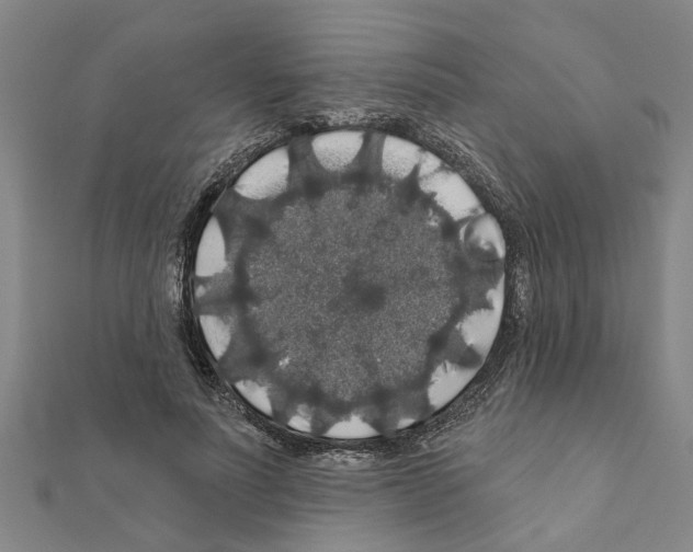 X0000111200691200908121110