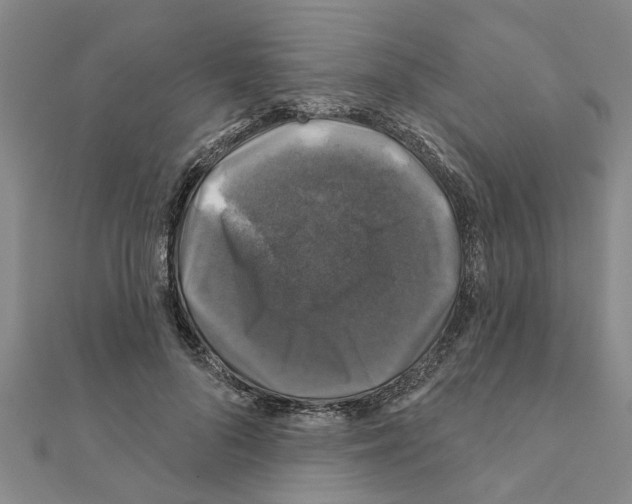 X0000111200696200908121110