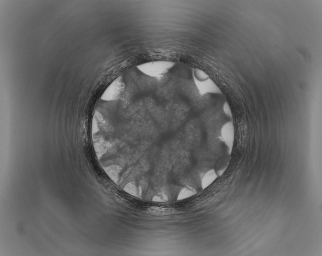 X0000111200699200908121110