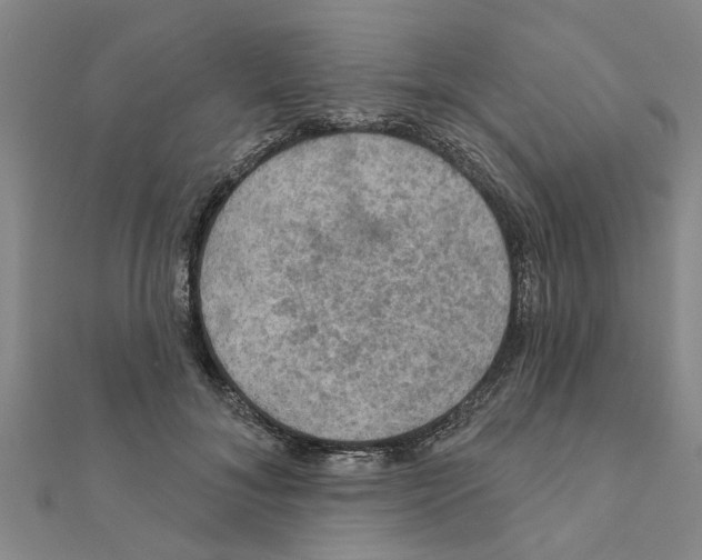 X0000111200700200908121110