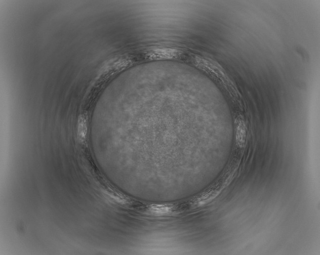 X0000111200701200908121110