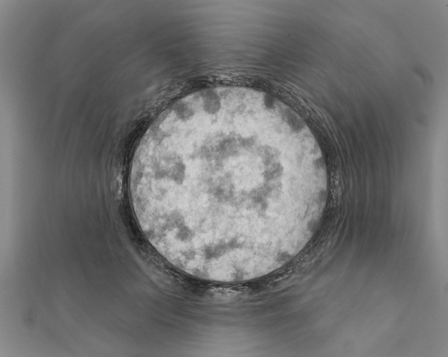 X0000111200703200908121110