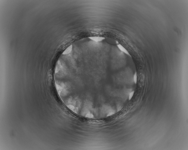 X0000111200707200908121110