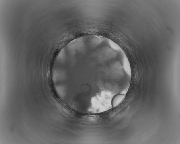 X0000111200711200908121110