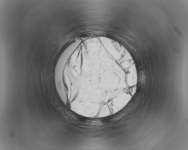 X0000111200715200908121110