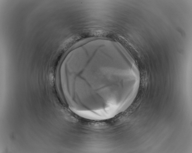 X0000111200716200908121110