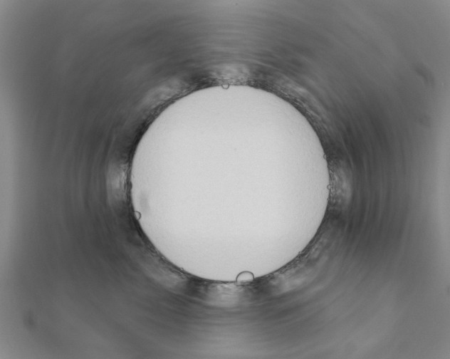 X0000111200717200908121110