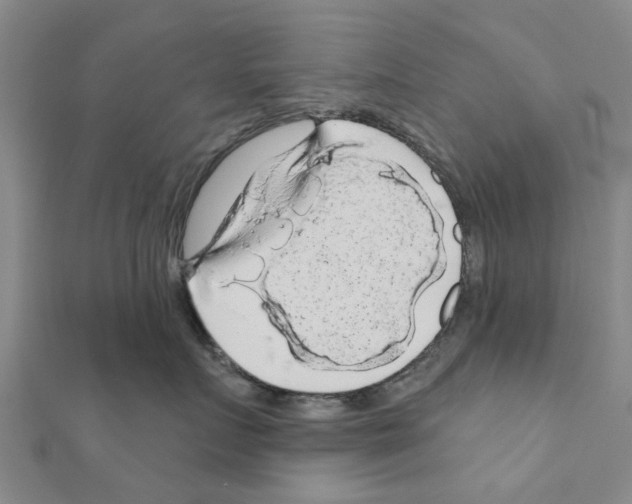 X0000111200719200908121110