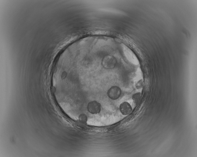 X0000111200721200908121109