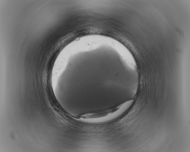 X0000111200722200908121109