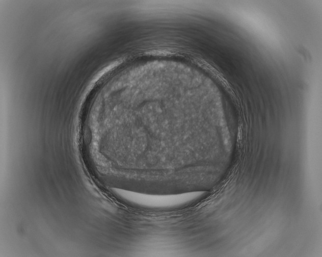 X0000111200724200908121109