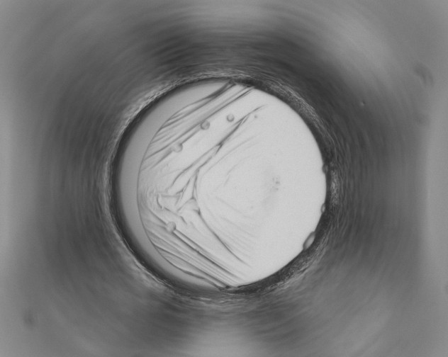 X0000111200725200908121109