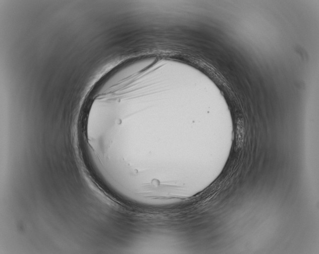 X0000111200726200908121109