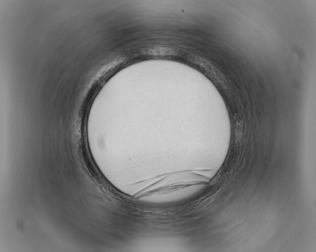 X0000111200727200908121109