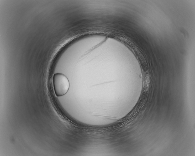 X0000111200728200908121109