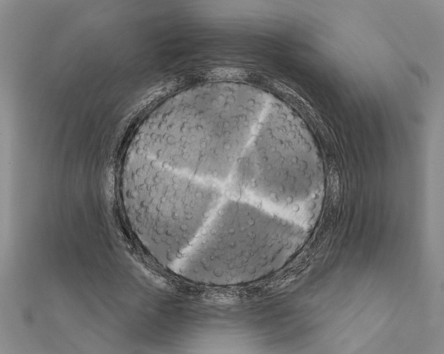 X0000111200729200908121109