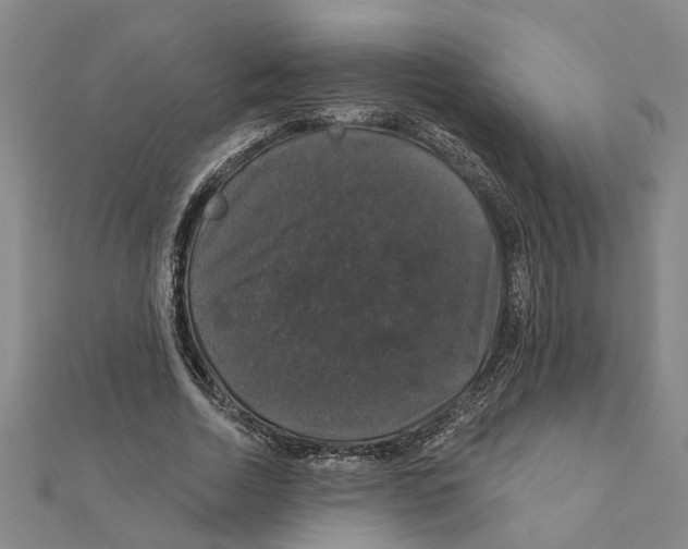 X0000111200730200908121109