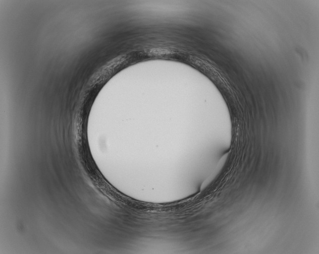 X0000111200732200908121109