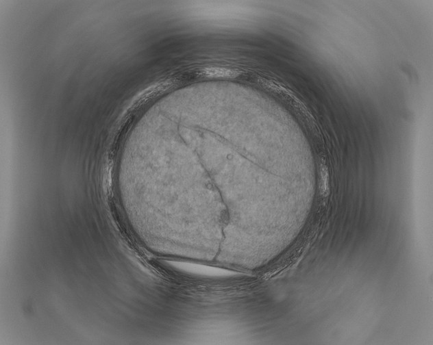 X0000111200733200908121109