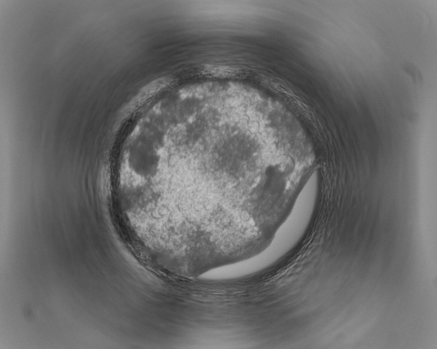 X0000111200734200908121109