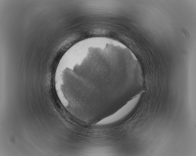 X0000111200735200908121109