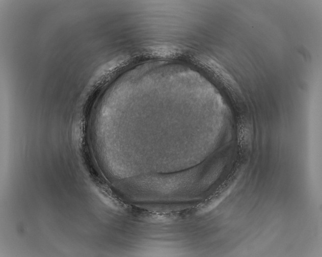 X0000111200736200908121109