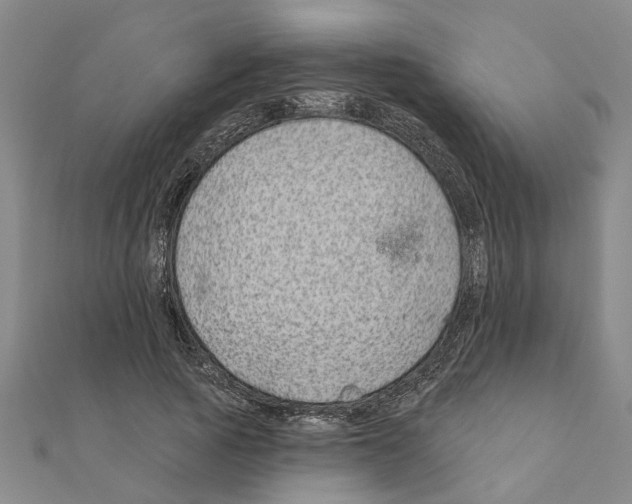 X0000111200737200908121110