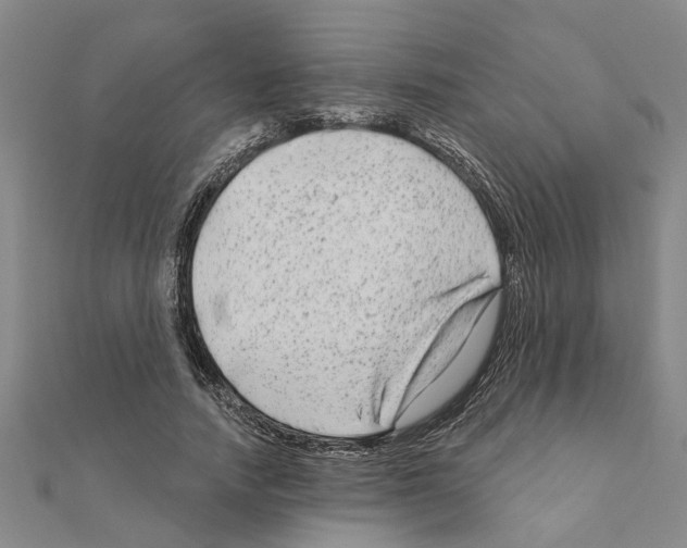 X0000111200738200908121110