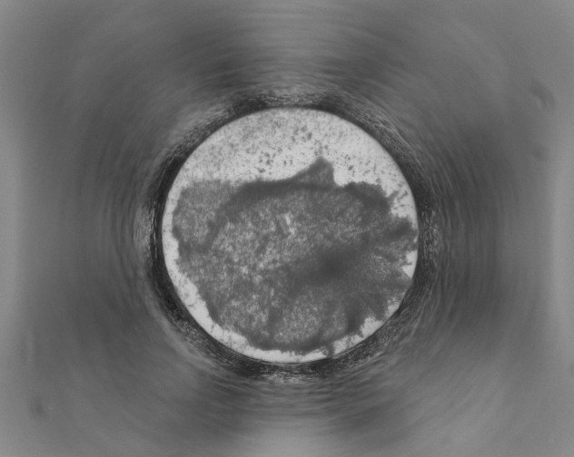 X0000111200742200908121110