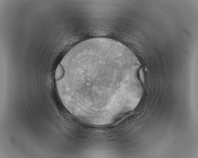 X0000111200743200908121110