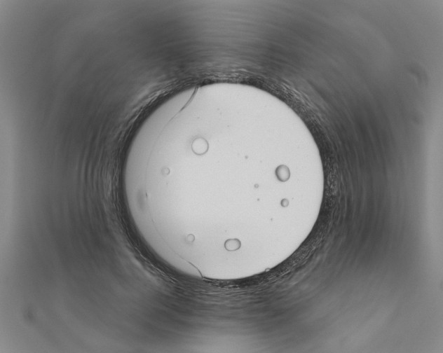 X0000111200744200908121110