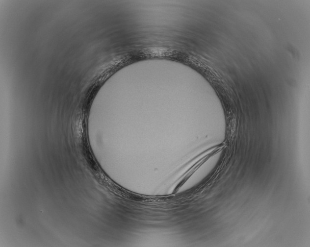 X0000111200746200908121110