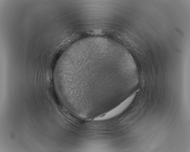 X0000111200747200908121110