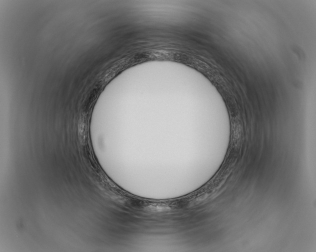 X0000111200749200908121110