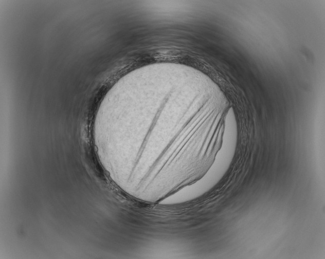 X0000111200755200908121110