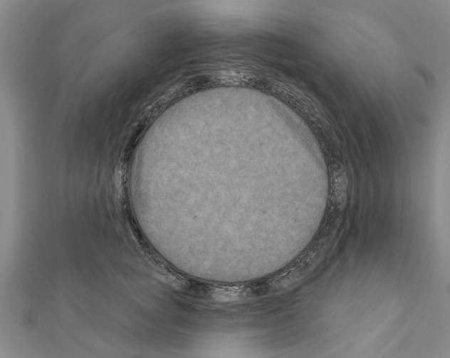 X0000111200757200908121110