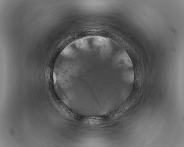 X0000111200758200908121110