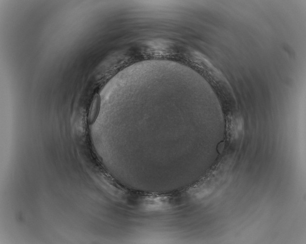 X0000111200760200908121110