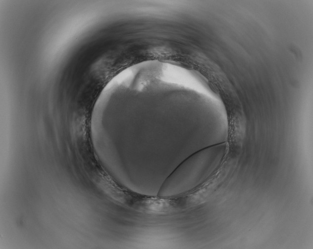 X0000111200762200908121110