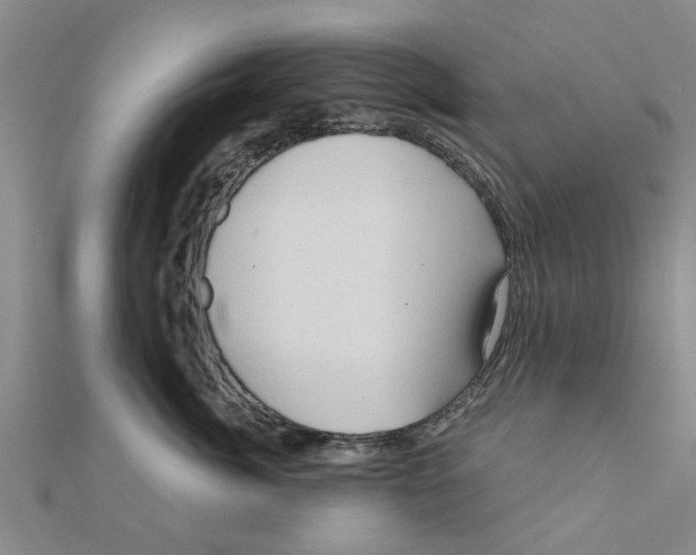 X0000111200764200908121110